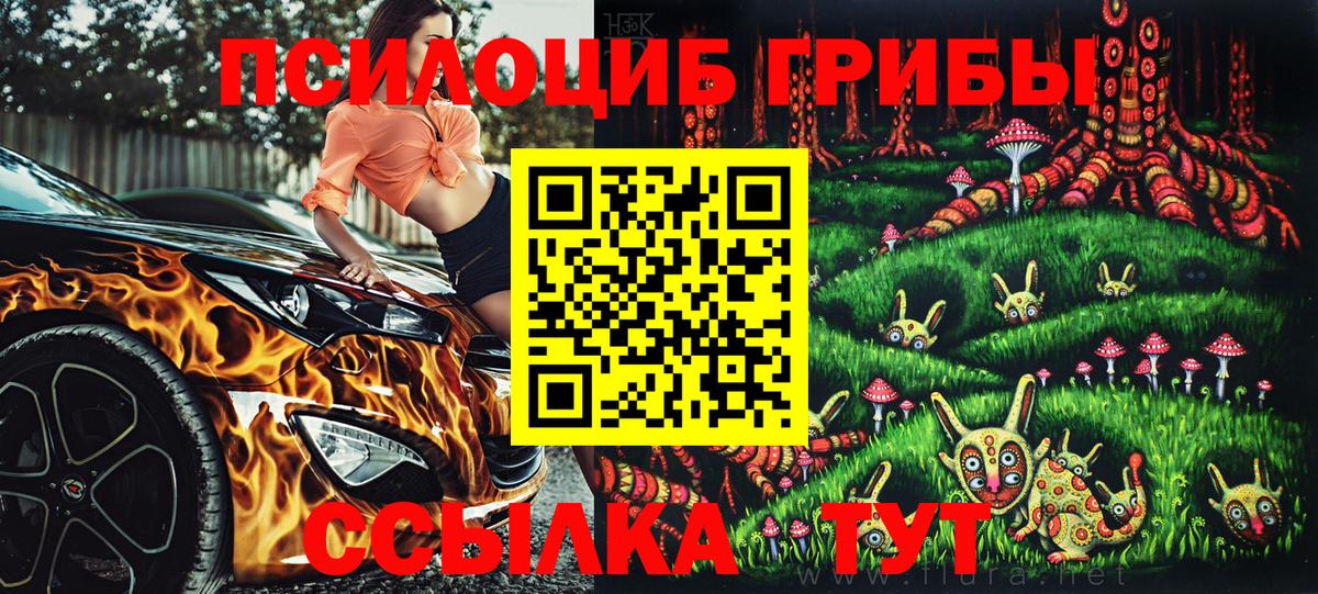 Черняховск  Галлюциногенные грибы MAGIC MUSHROOMS  Вход с VPN  где купить наркоту  Галлюциногенные грибы мицелий 